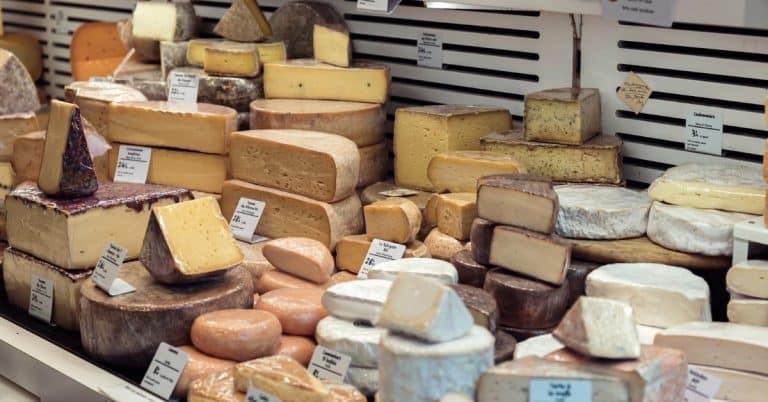 Which Cheese Can Be Frozen How To Freeze And Thaw Correctly Fitibility