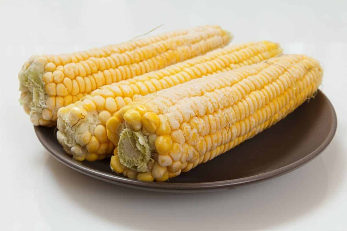 How to Freeze and Cook Frozen Corn on the Cob (Step by Step) Fitibility